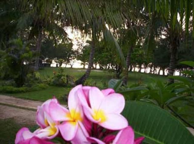 Otuhaka Beach Resort Kanokupolu Phòng bức ảnh